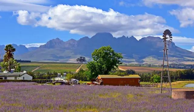 南アフリカ ワイファイ