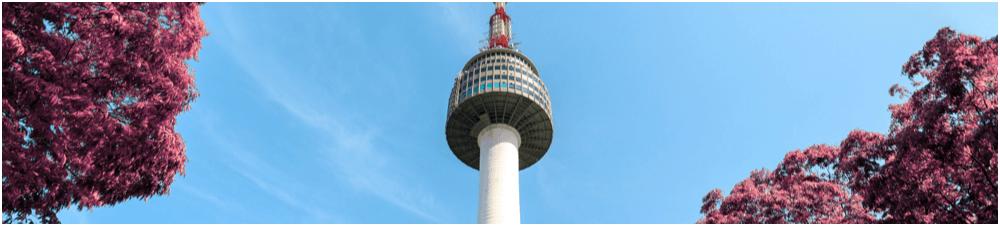 データ利用 完全 無制限